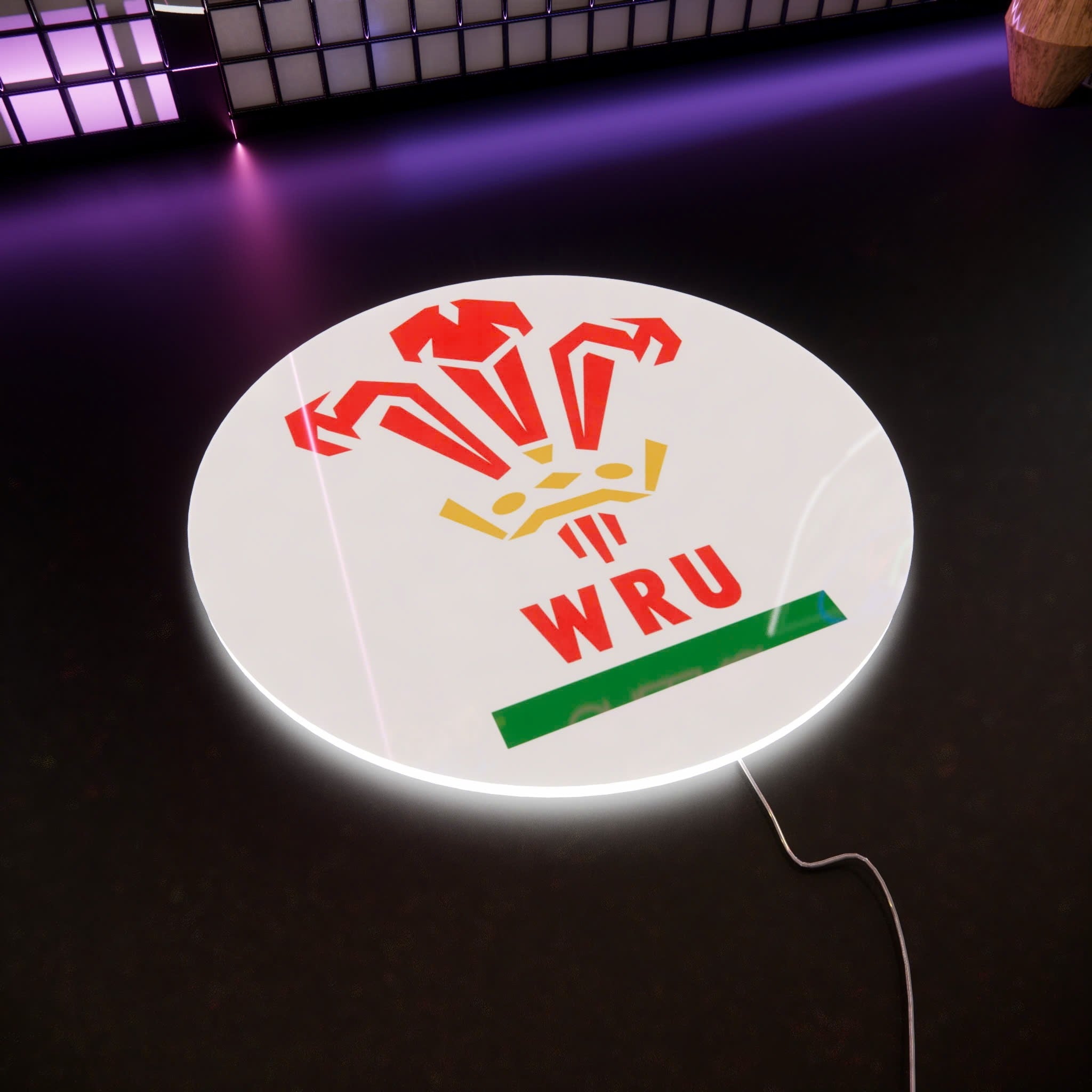 RWU Logo LED Wall light