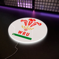 RWU Logo LED Wall light