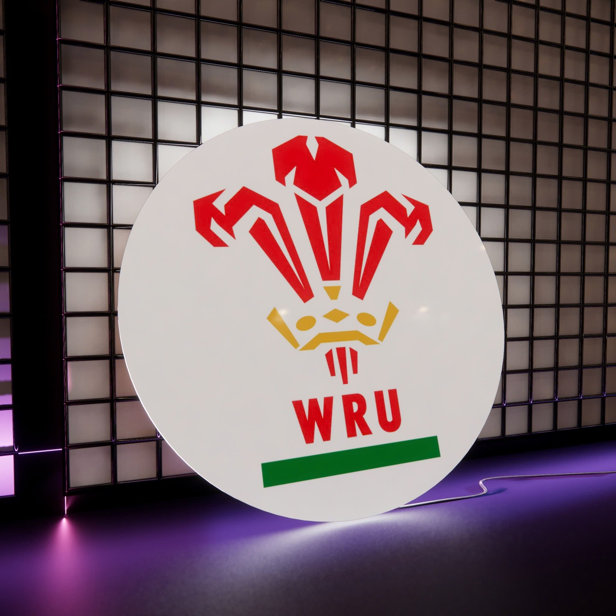 RWU Logo LED Wall light