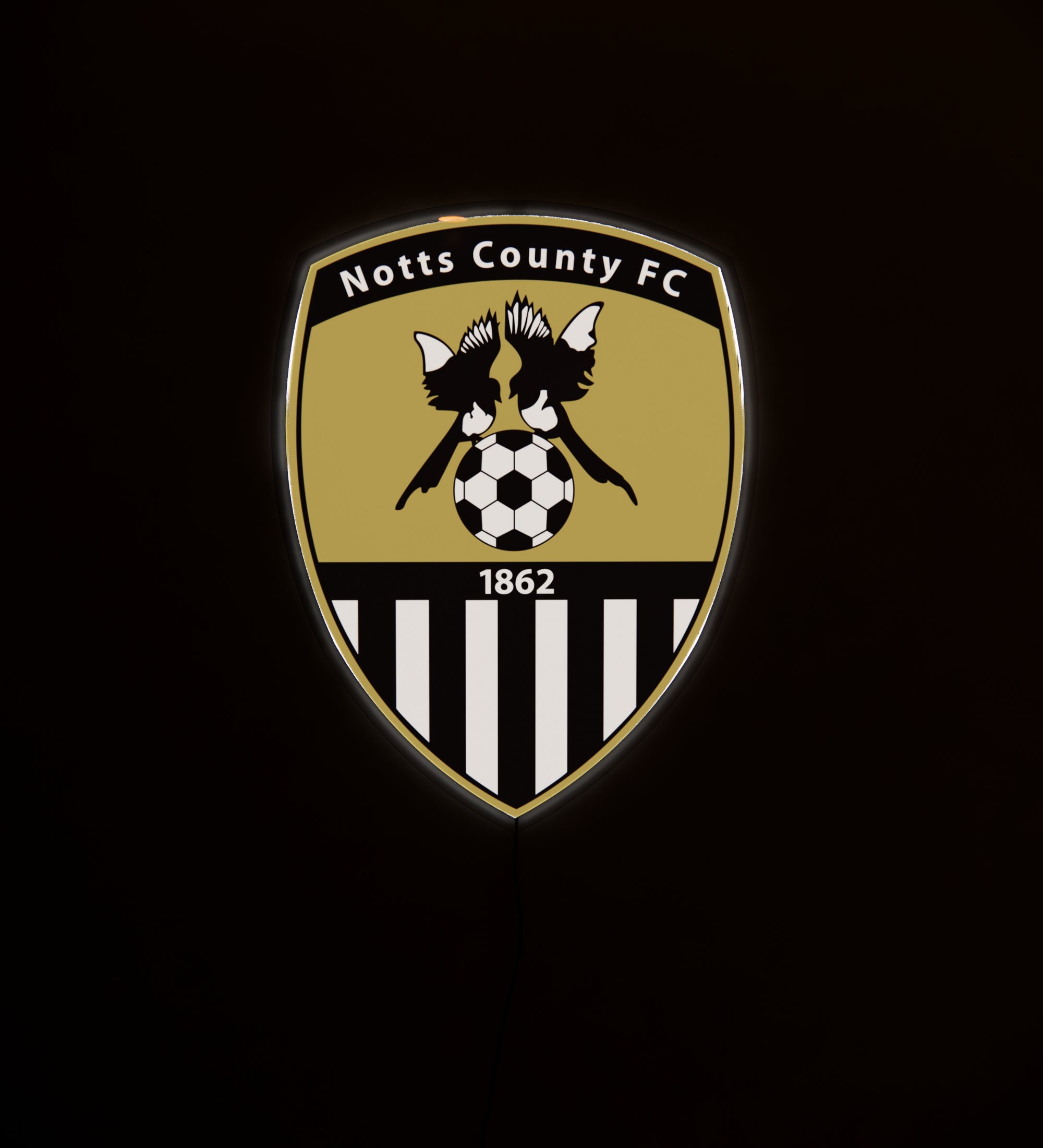 NCO FC Badge LED