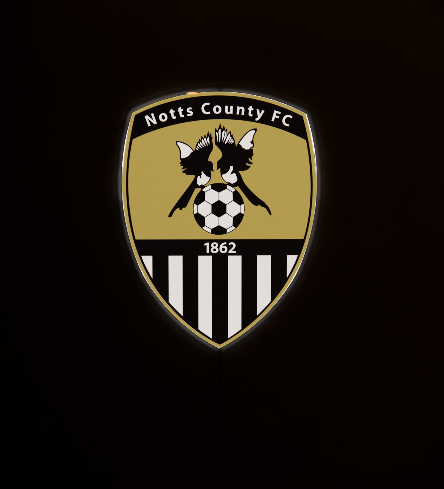 NCO FC Badge LED 15 inches (38cm)