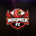 Misunga badge LED Wall light
