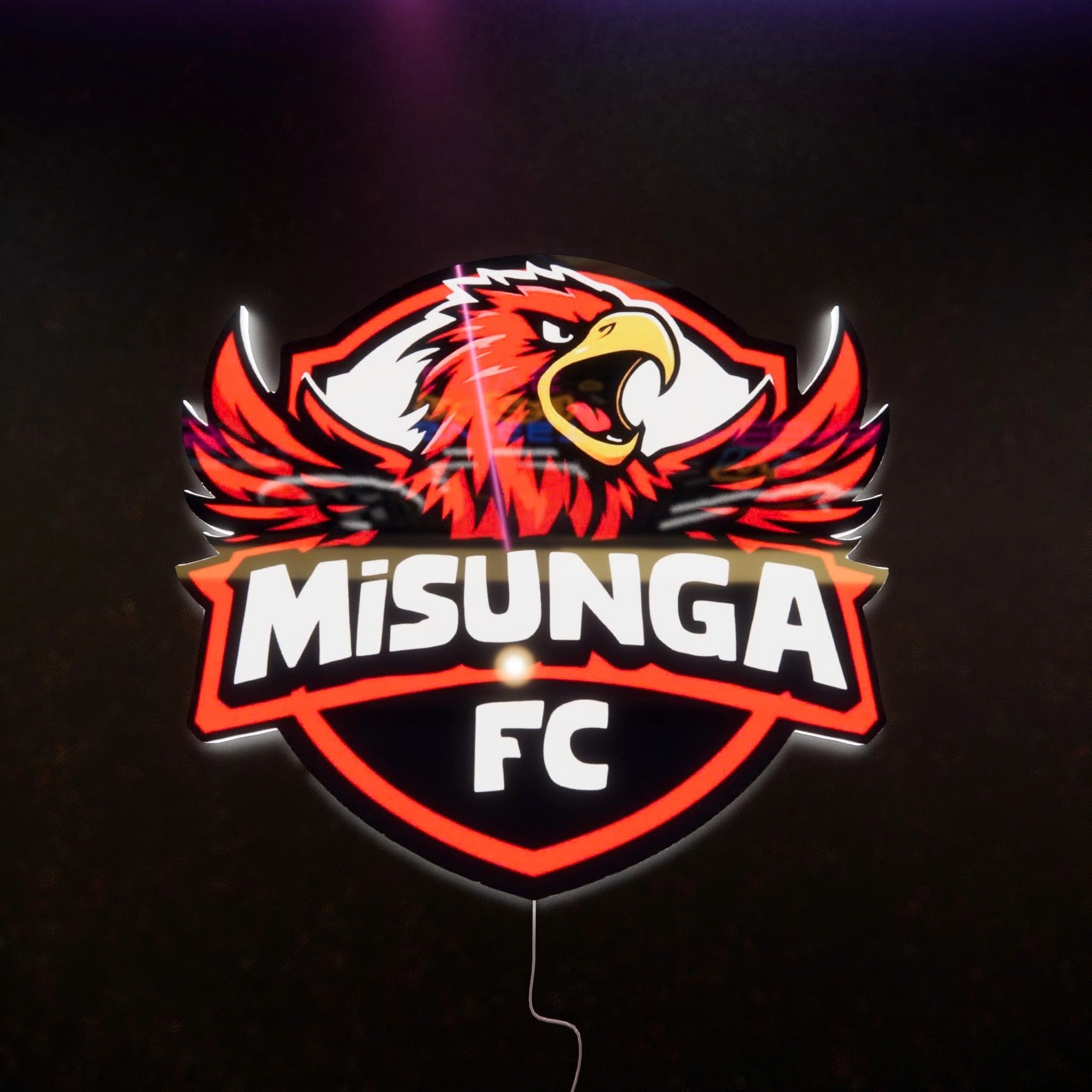 Misunga badge LED Wall light