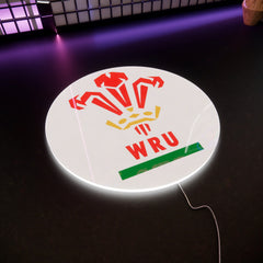 RWU Logo LED Wall light