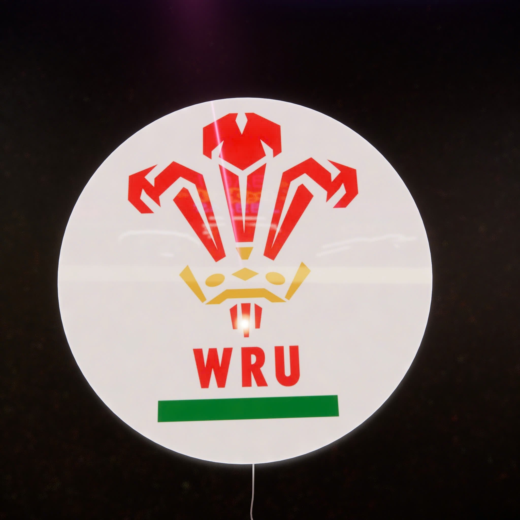 RWU Logo LED Wall light