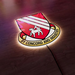 Droylsden F.C Badge LED Wall light