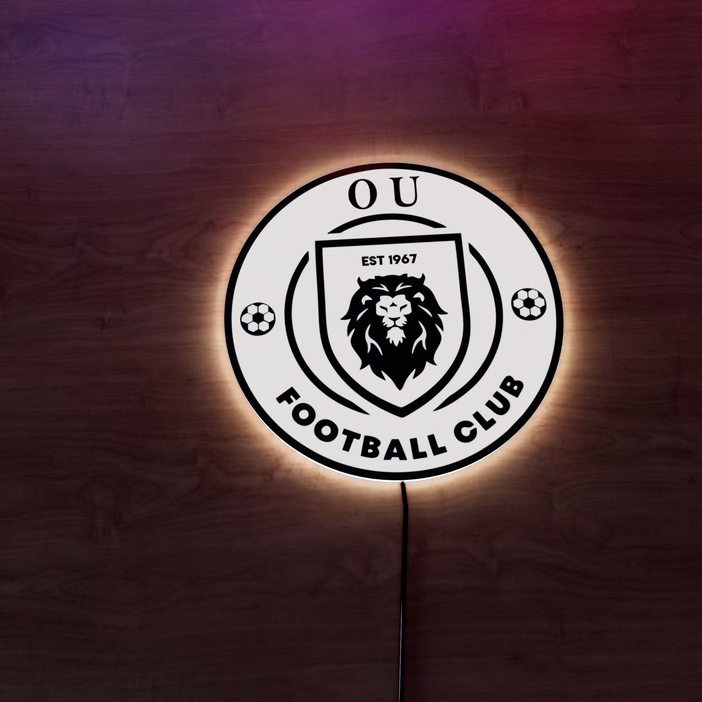 Erjon Logo LED Wall light