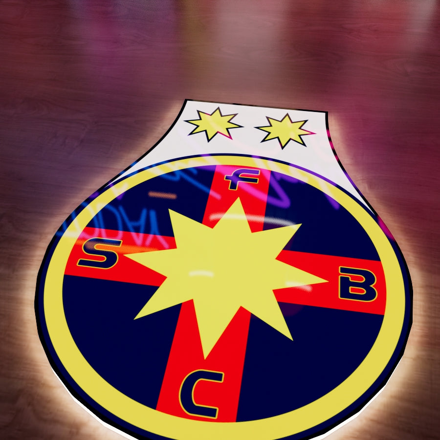 FCSB badge LED Wall light
