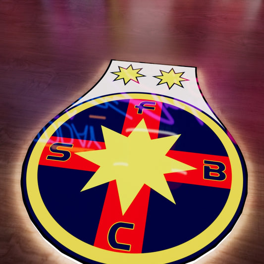 FCSB badge LED Wall light