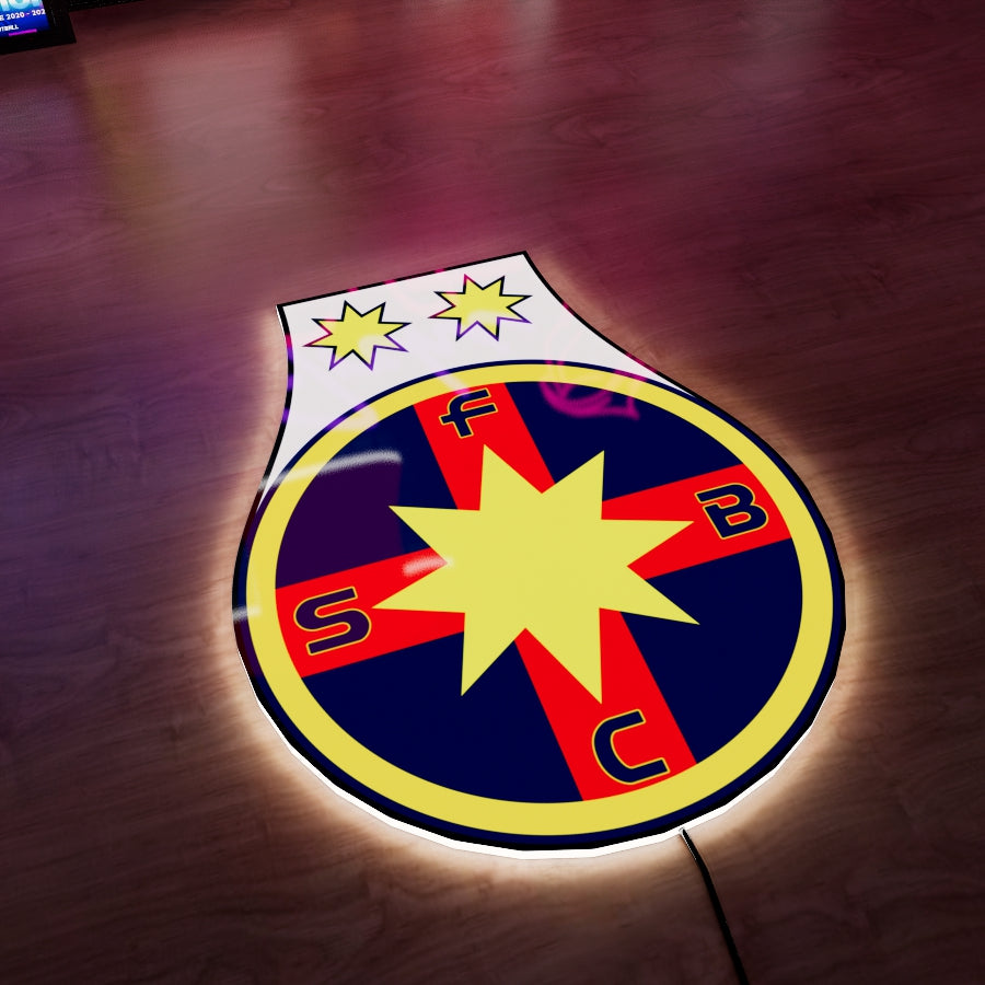 FCSB badge LED Wall light