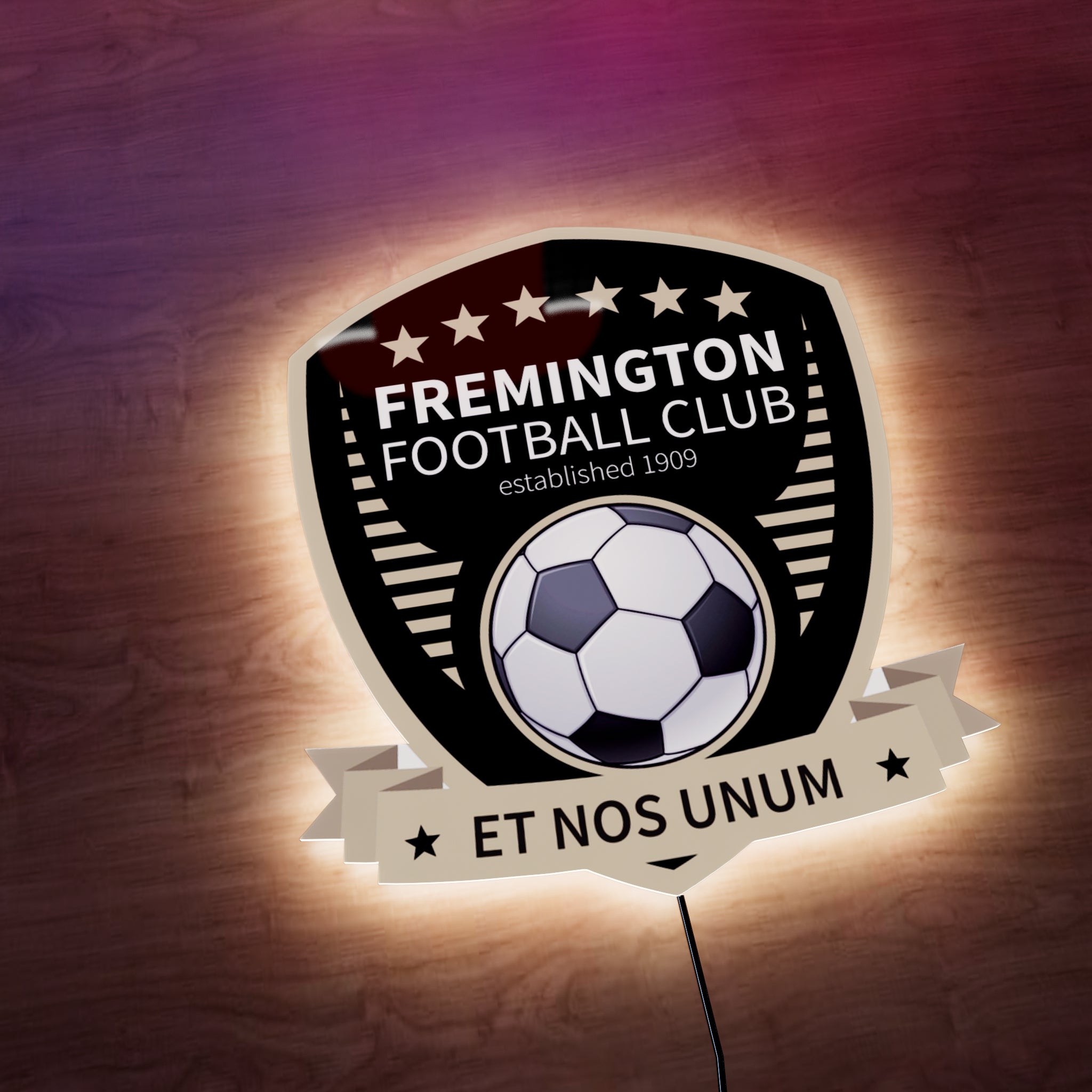 Fremington FC badge LED Wall light