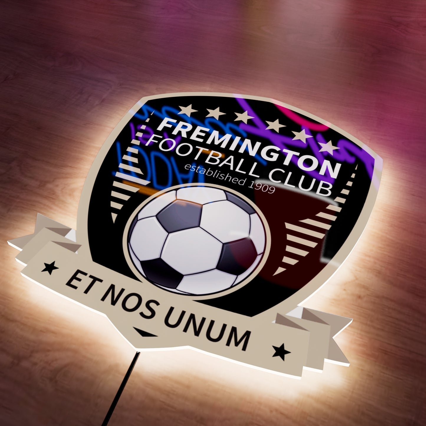 Fremington FC badge LED Wall light