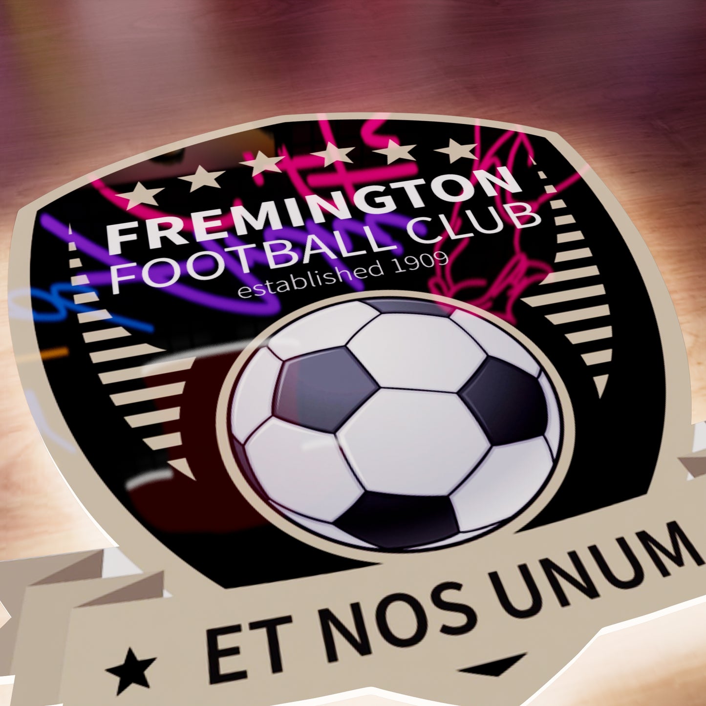 Fremington FC badge LED Wall light