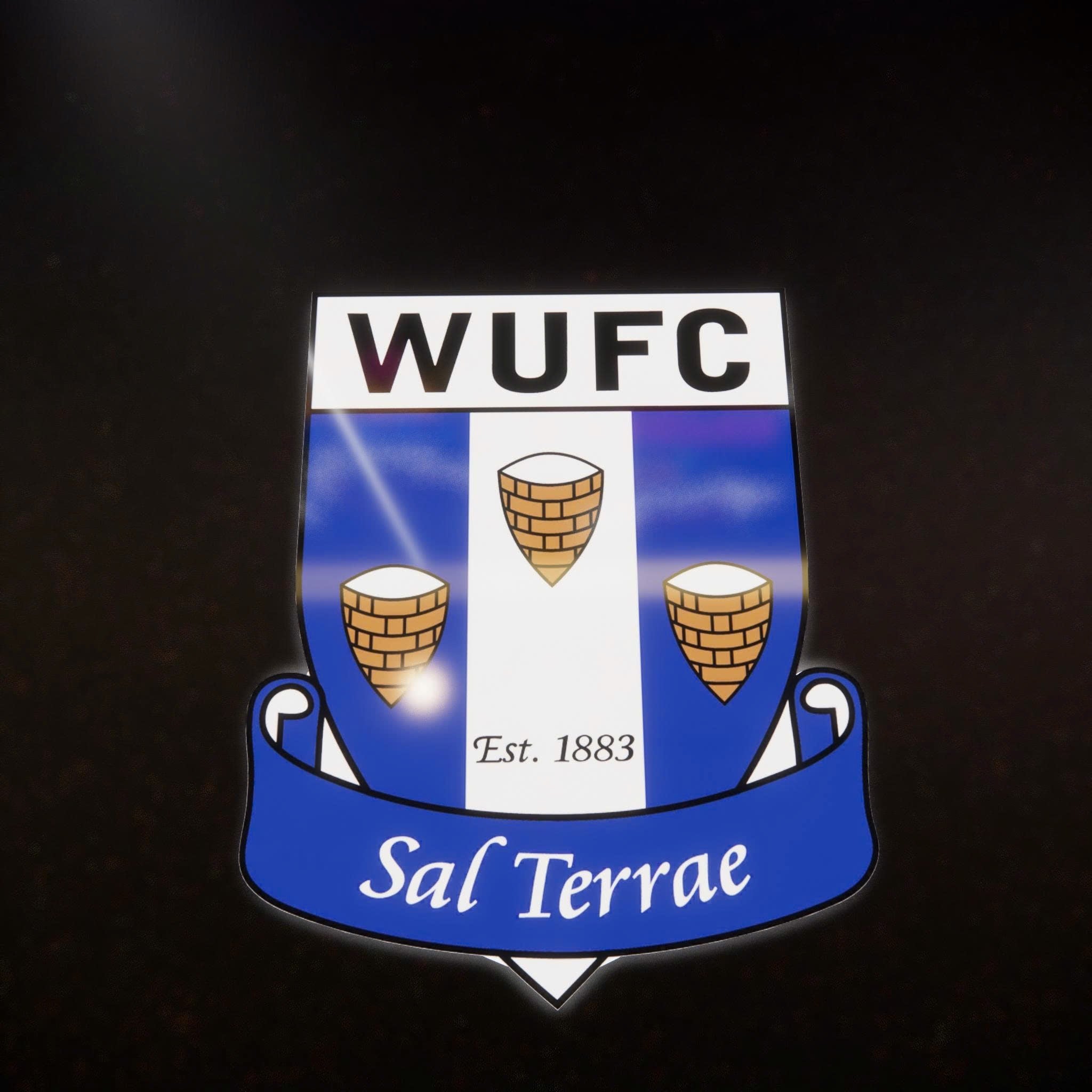 WUFC badge LED Wall light