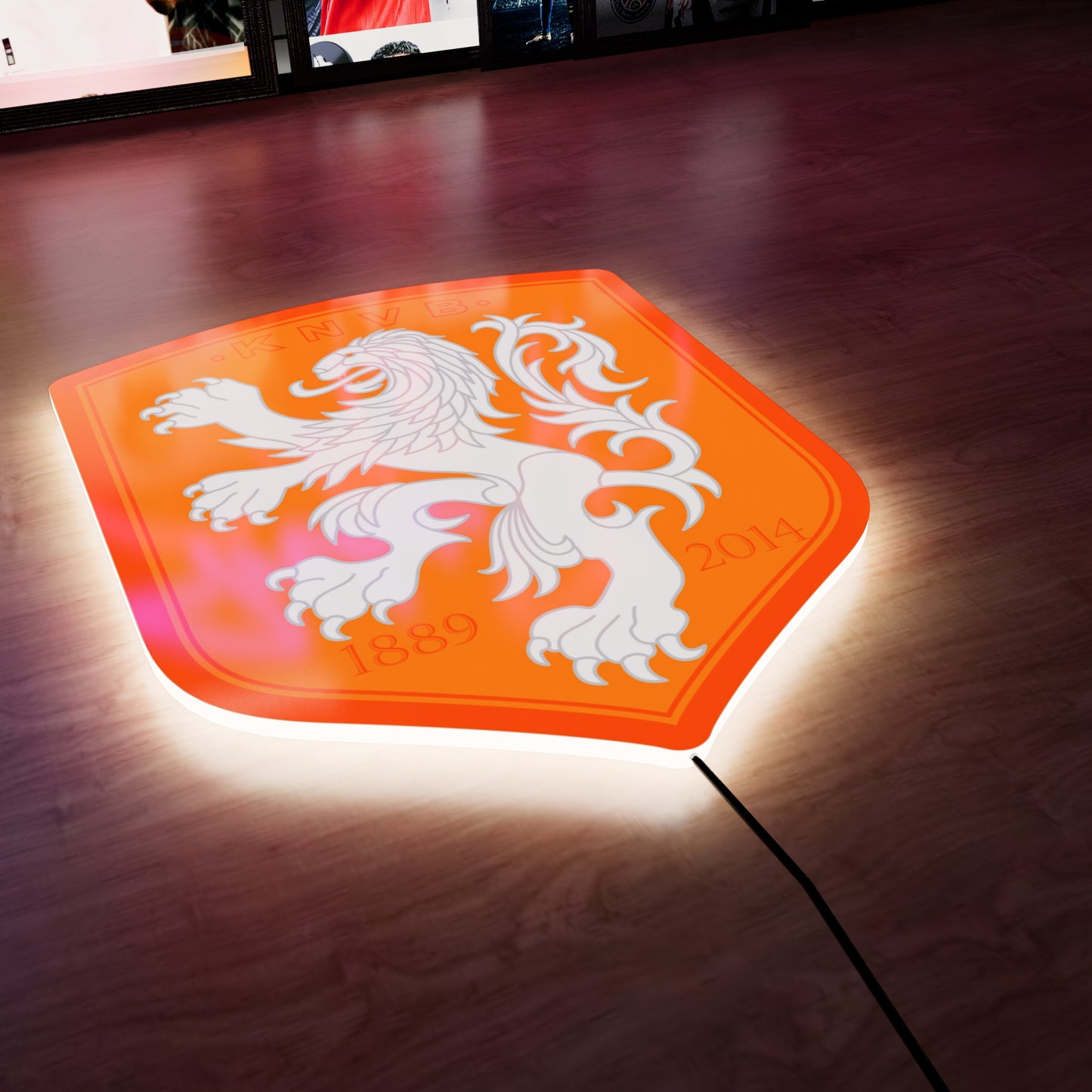 NETHERLANDS logo LED Wall light
