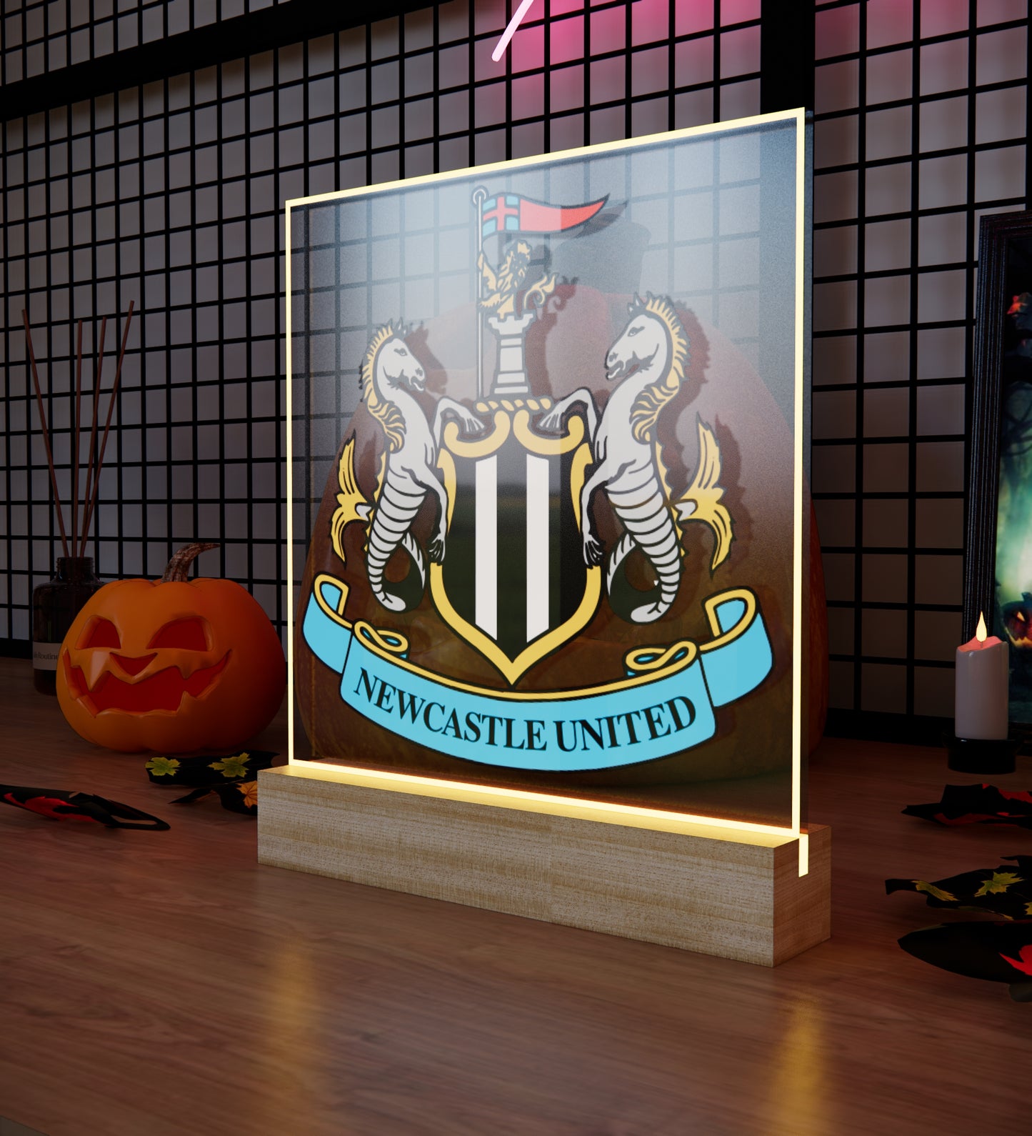 NEW FC Night Light