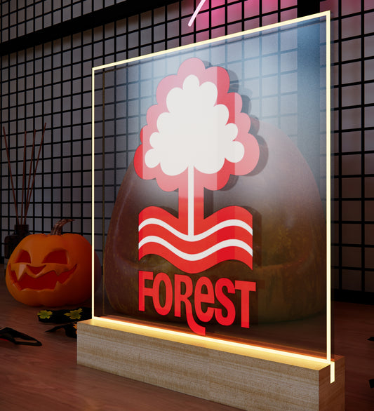 NFO FC Night Light