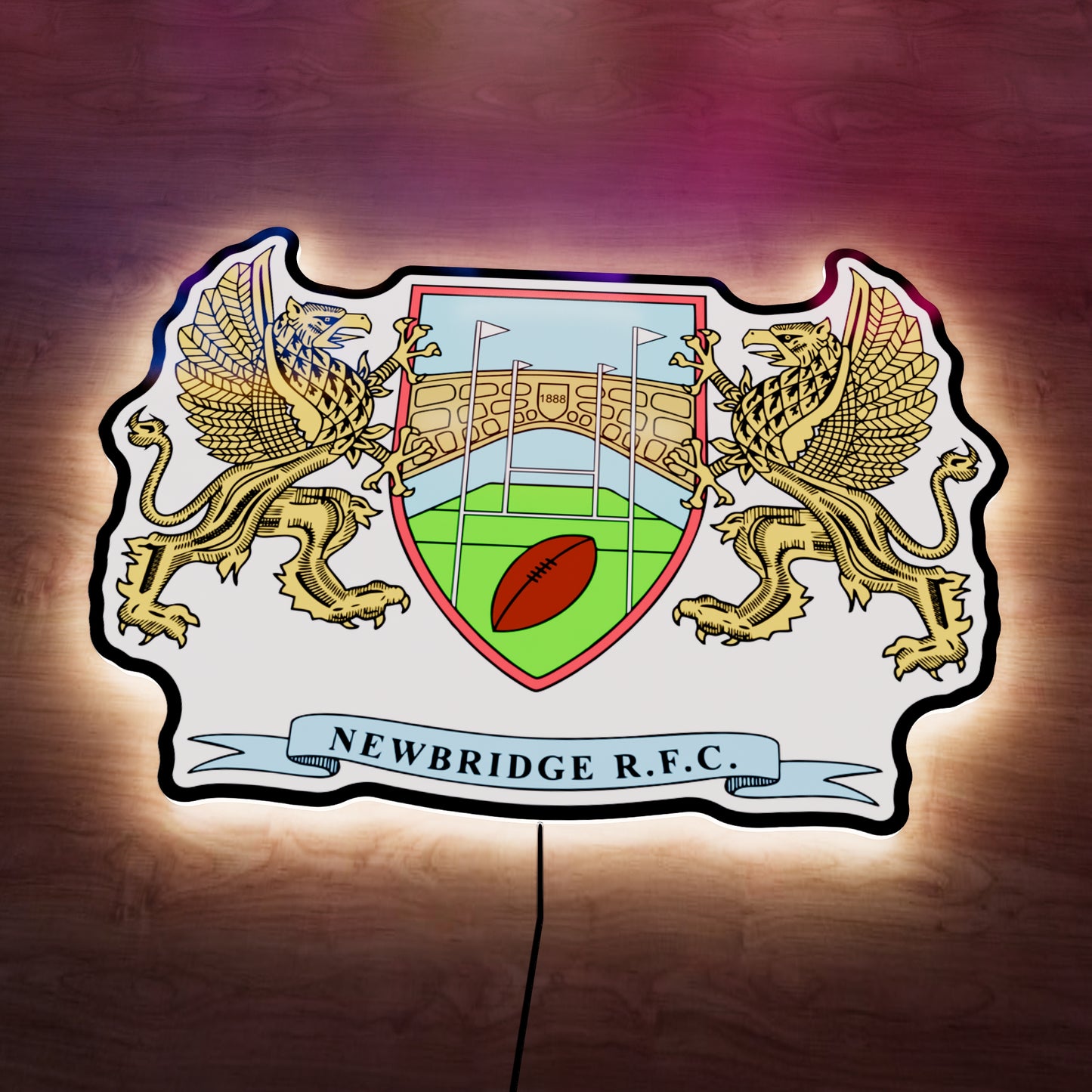 Newbridge Rugby badge LED Wall light