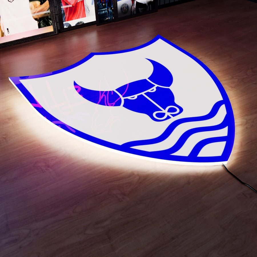 OXF FC Badge LED 15 inches (38cm)