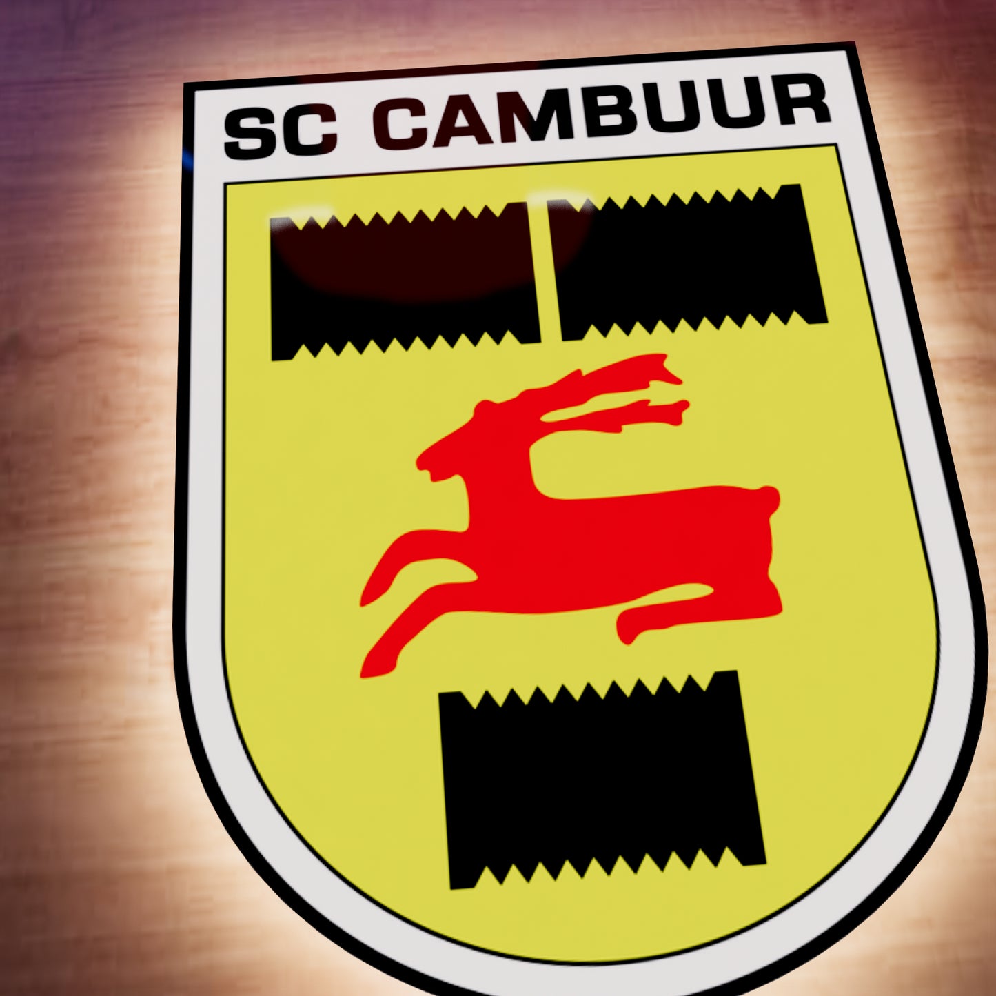 SC Cambuur FC logo LED Wall light