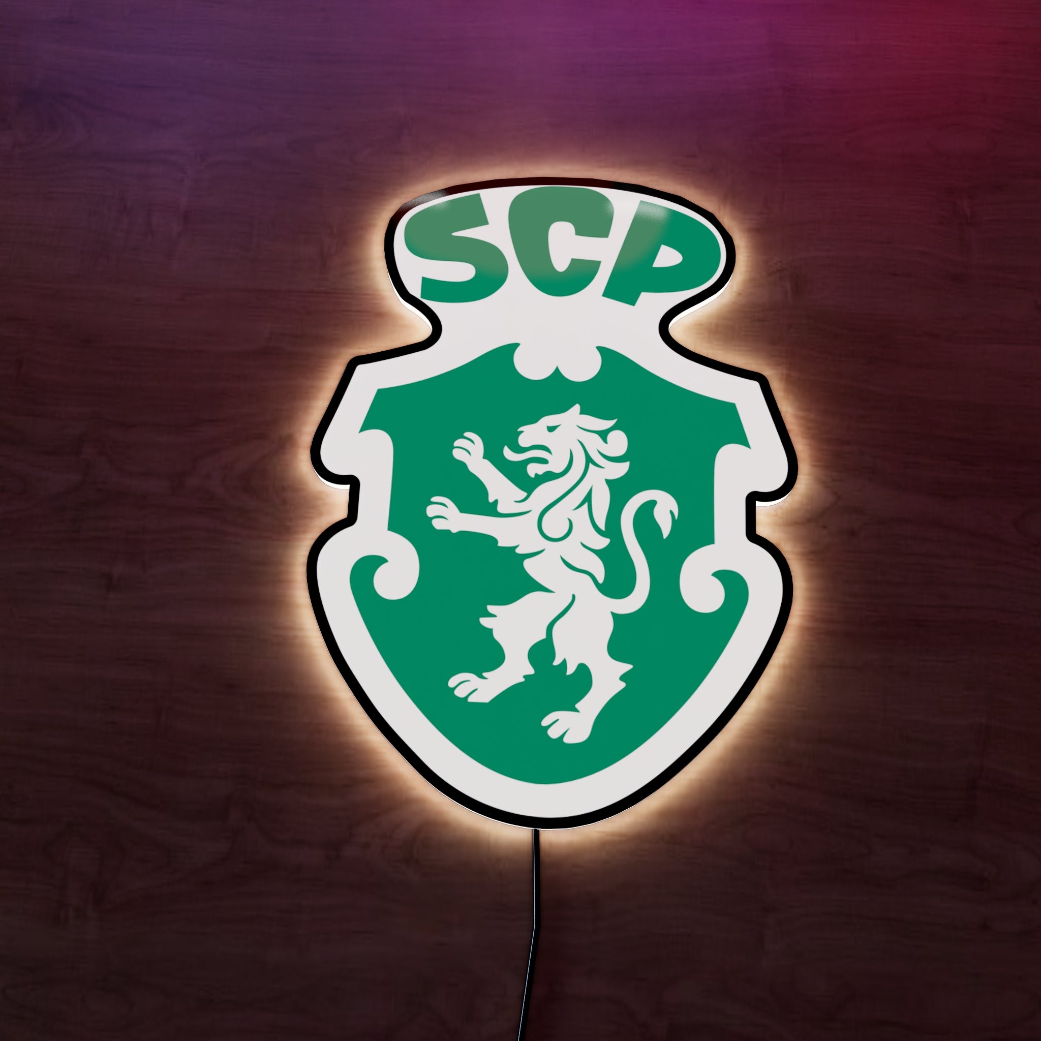 SCP Badge LED Wall light
