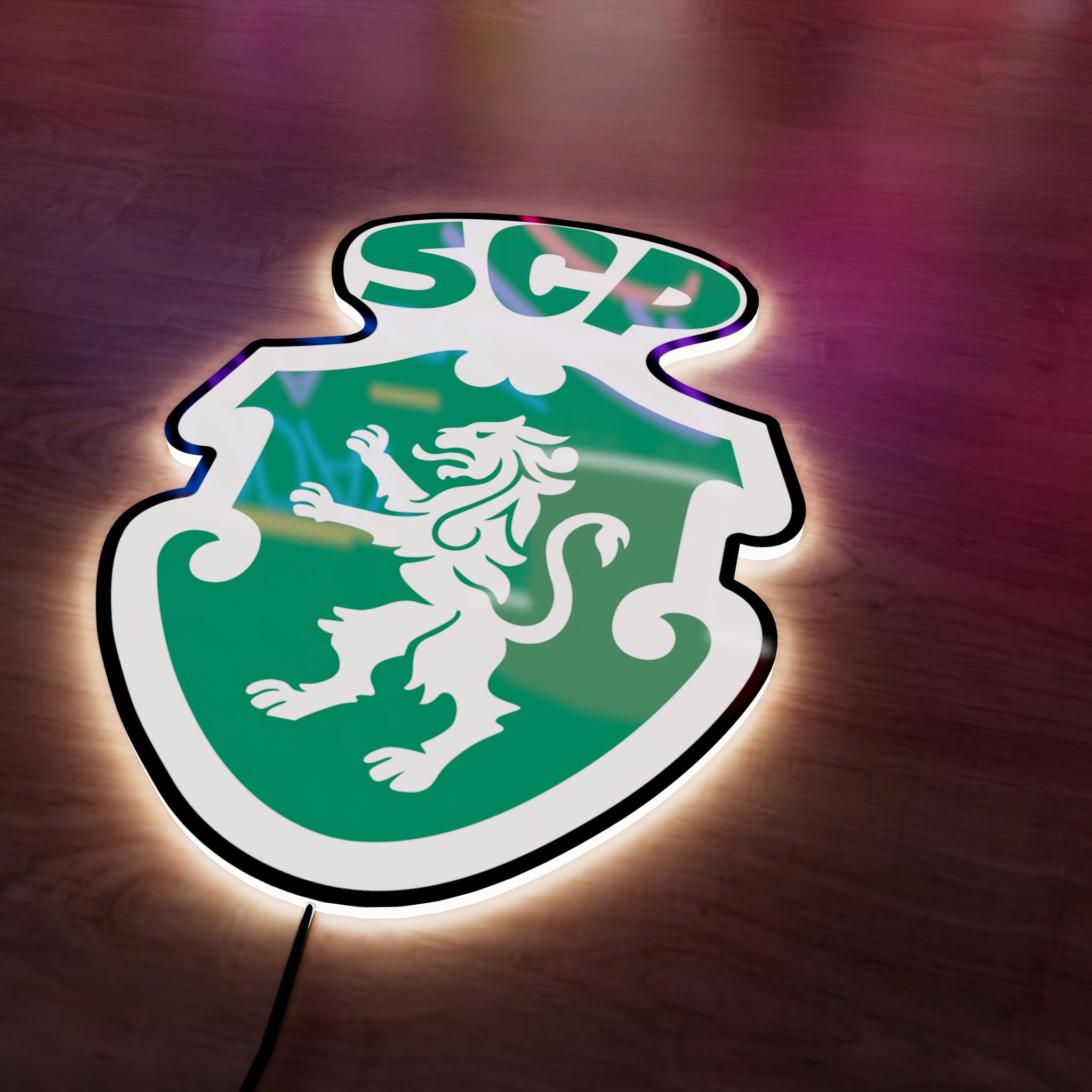 SCP Badge LED Wall light