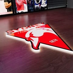 Sydney Swans Logo LED Wall light