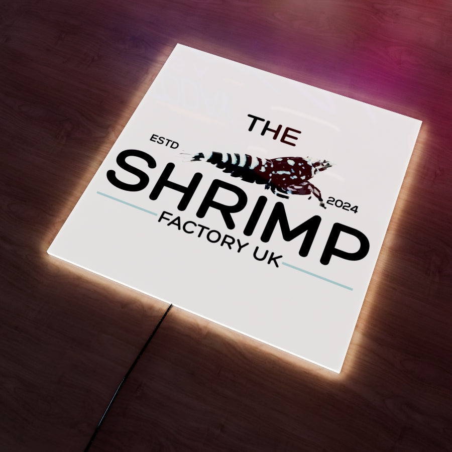 The Shrimp Factory UK Logo LED Wall light