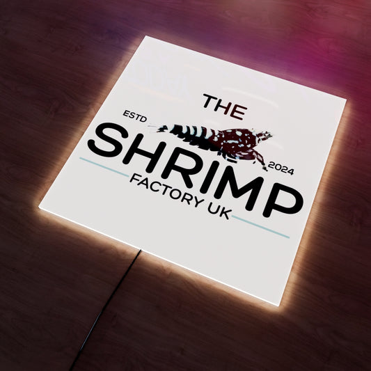 The Shrimp Factory UK Logo LED Wall light
