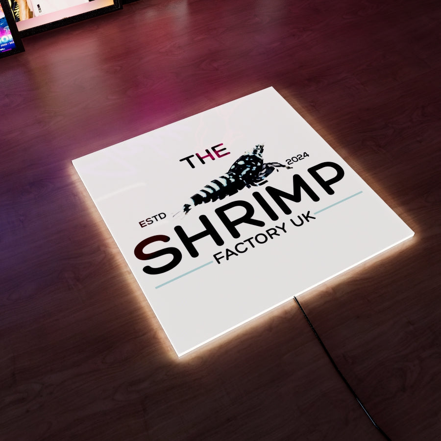 The Shrimp Factory UK Logo LED Wall light