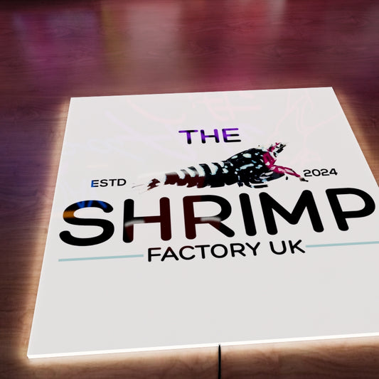 The Shrimp Factory UK Logo LED Wall light