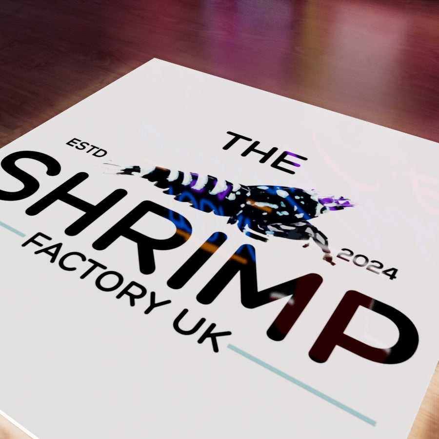 The Shrimp Factory UK Logo LED Wall light