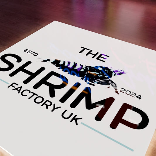 The Shrimp Factory UK Logo LED Wall light